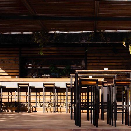 The Tree House Tenerife El Médano المظهر الخارجي الصورة