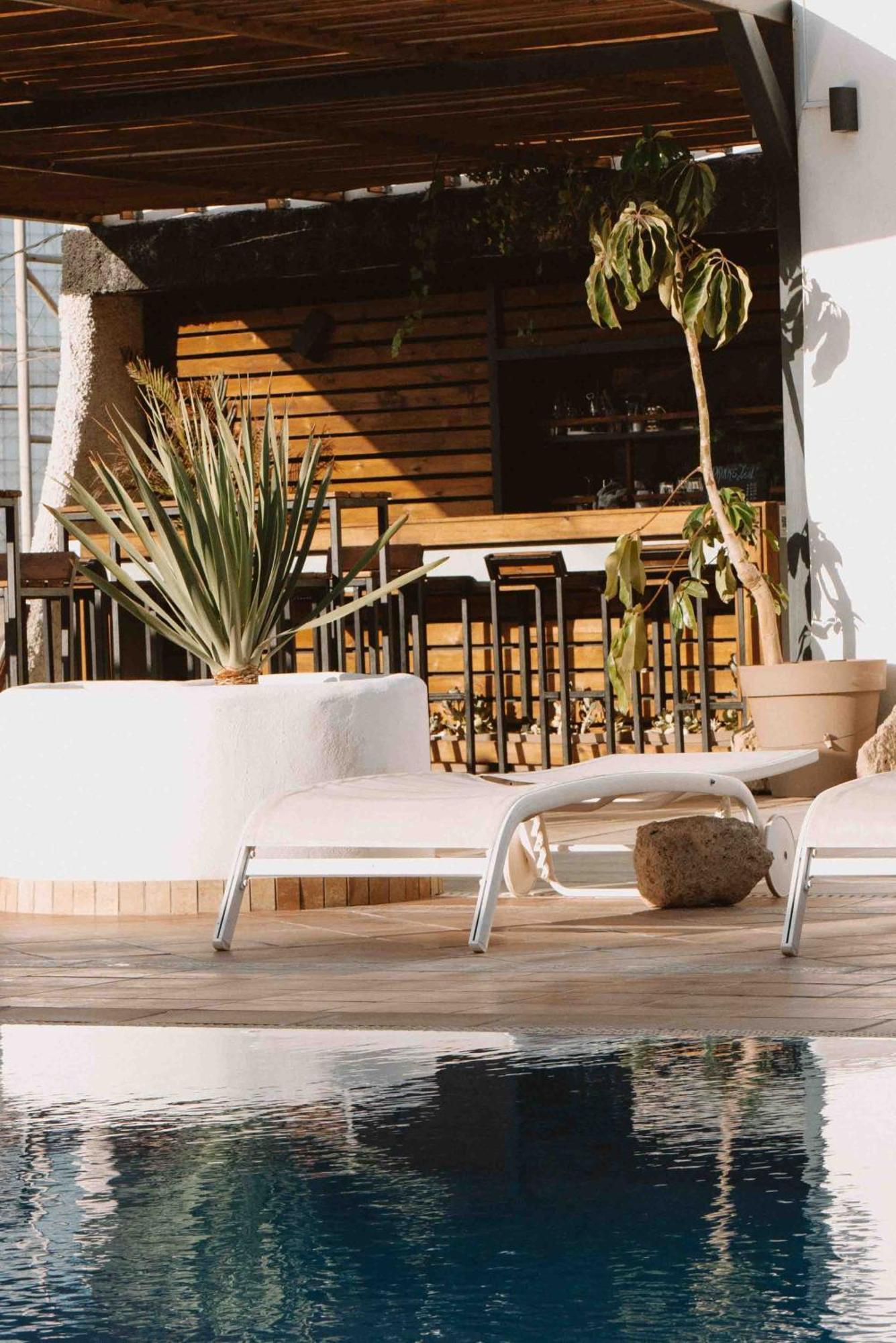 The Tree House Tenerife El Médano المظهر الخارجي الصورة