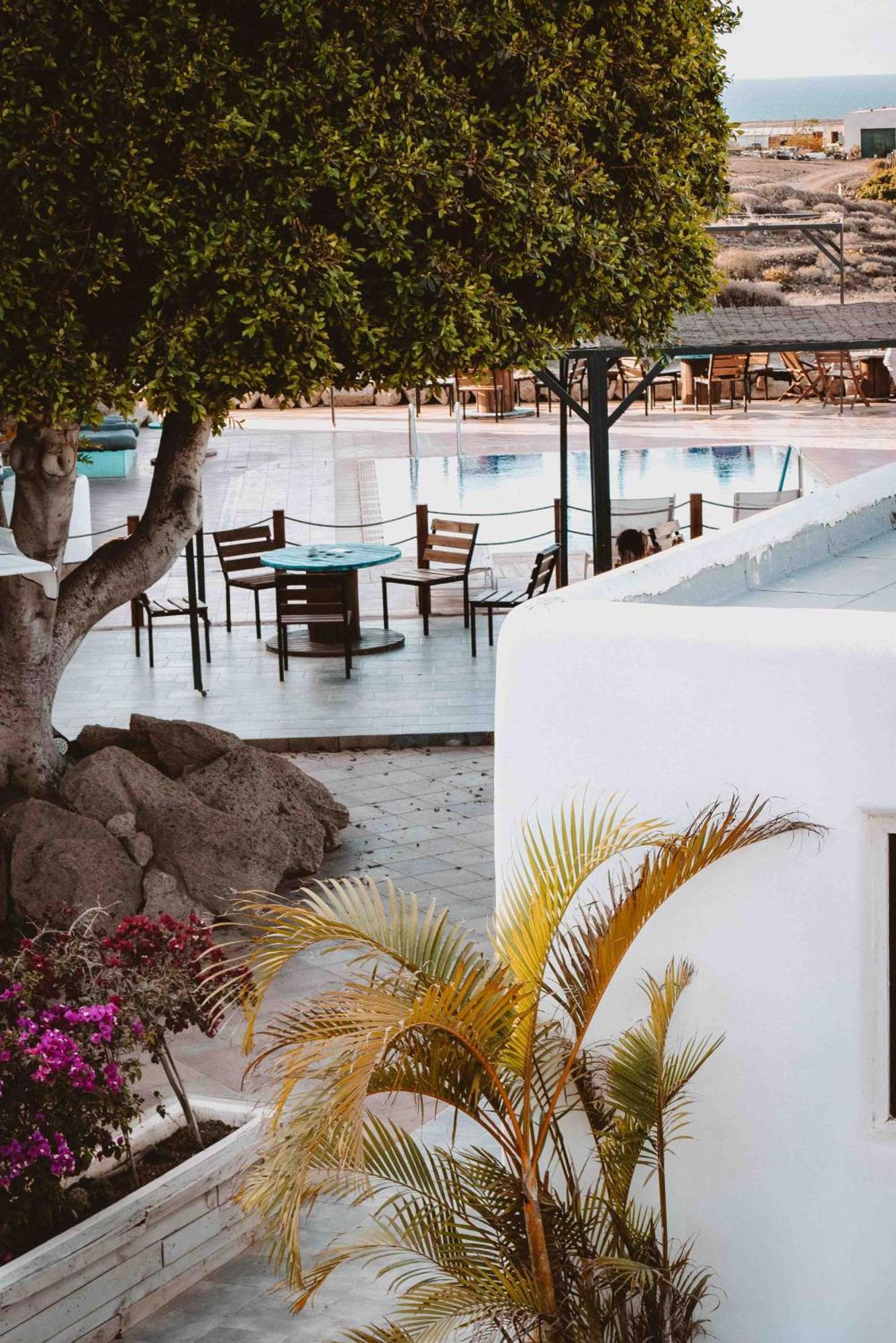 The Tree House Tenerife El Médano المظهر الخارجي الصورة