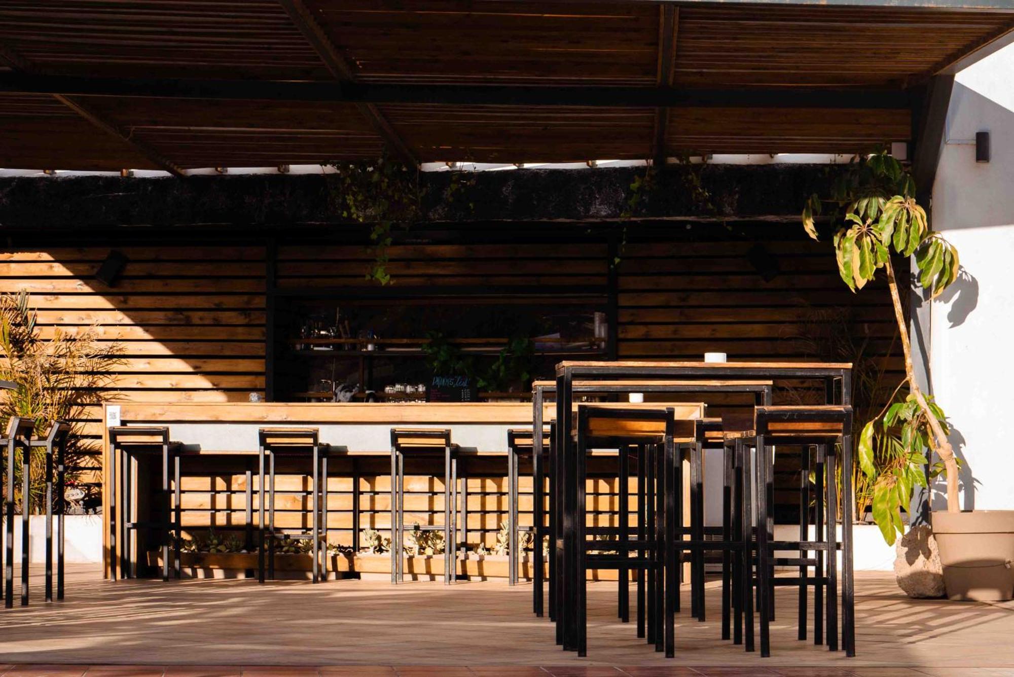 The Tree House Tenerife El Médano المظهر الخارجي الصورة