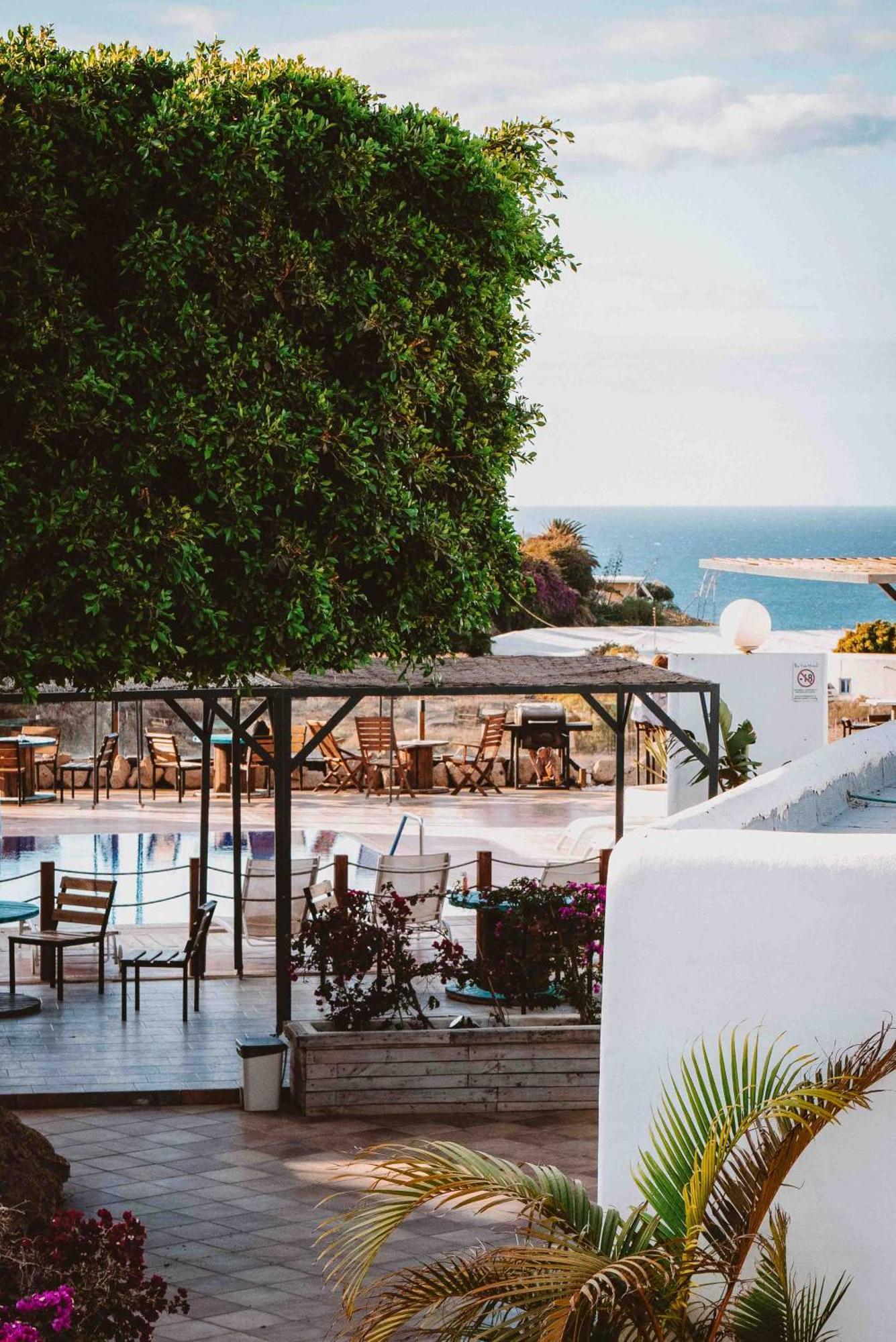 The Tree House Tenerife El Médano المظهر الخارجي الصورة