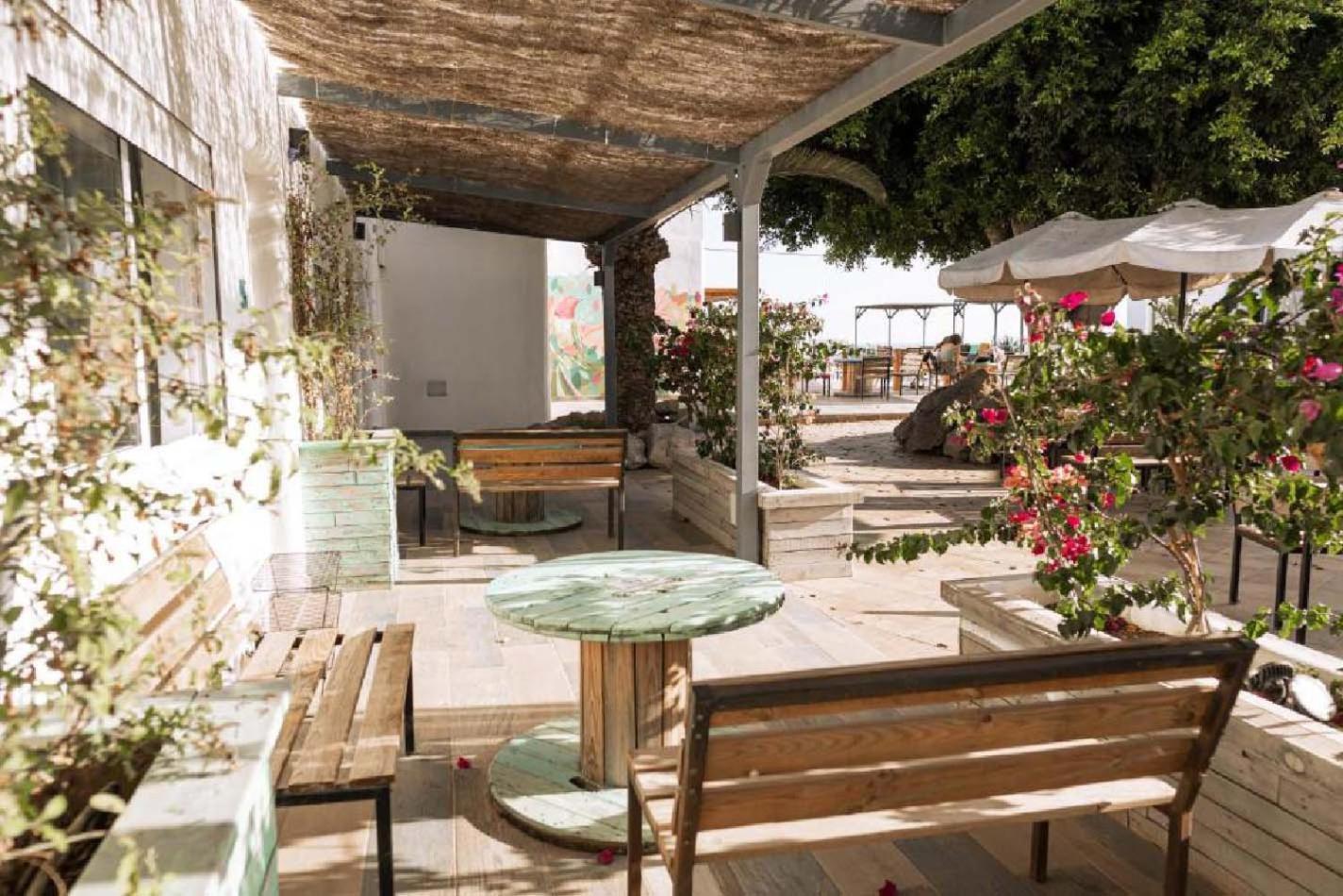 The Tree House Tenerife El Médano المظهر الخارجي الصورة