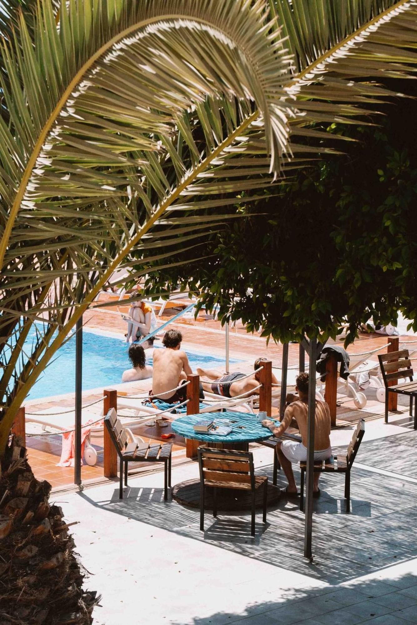 The Tree House Tenerife El Médano المظهر الخارجي الصورة